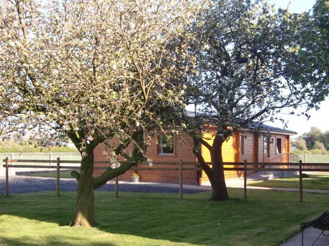 Chestnut Lodge Pilling Zewnętrze zdjęcie